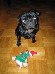 Media_httpphotos7flic_cuiaq